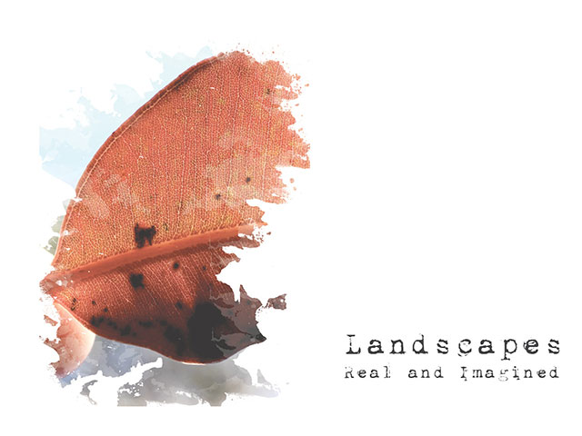 Landscapes - Real and Imagined, curator Amanda Alderson