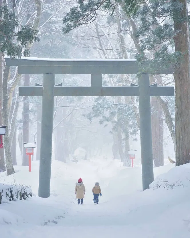 鳥居&雪