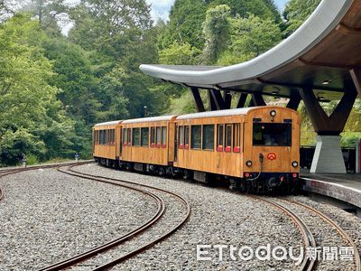 阿里山林鐵再通　聽神木哭的聲音