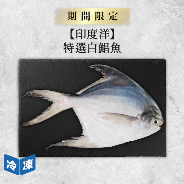 【印度洋】特選白鯧魚-約300g-400g/尾