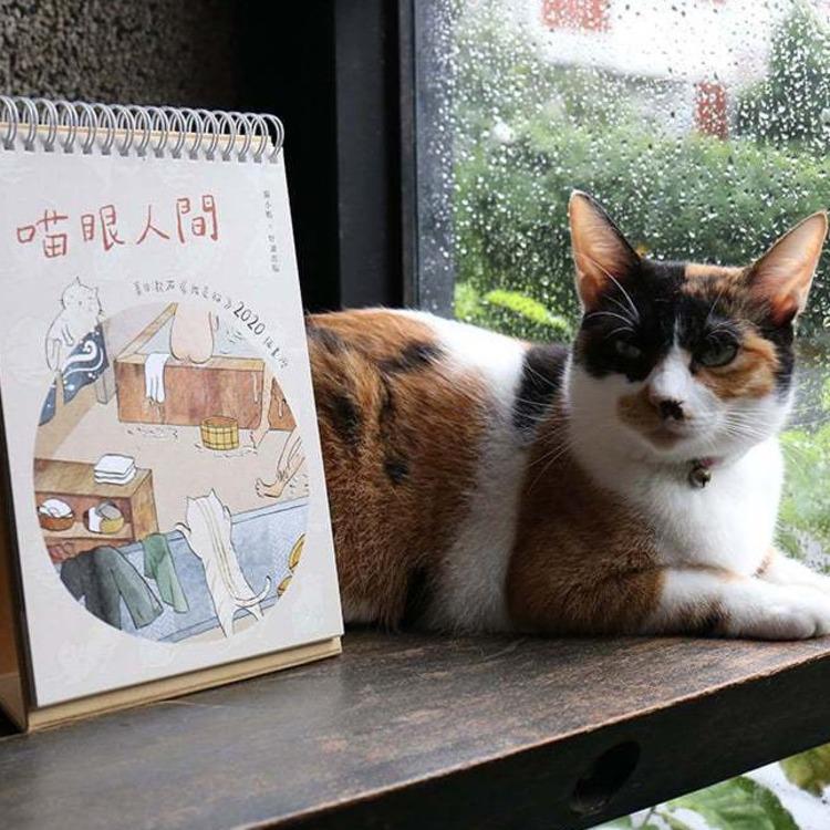 夏目潄石《我是貓》主角現身「貓村藝術季」推2020「喵眼人間」桌曆