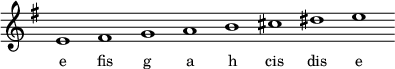 
\relative e'{
\key e \minor
\override Staff.TimeSignature #'stencil = ##f
\cadenzaOn e1 fis g a b cis dis e \cadenzaOff
}
\addlyrics { \small {
e1 fis g a h cis dis e
} }
