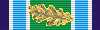 Medaille van de burgerwacht