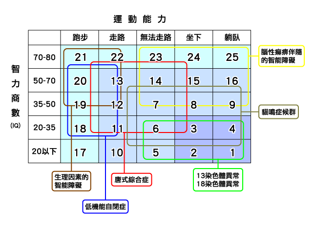 大岛分类表