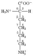 La Lysine contains six carbon atoms. L'àtom de carboni central enllaçat als grups amino i carboxil està unit a l'alfa. Els quatre àtoms de carboni en la seva cadena lateral lineal estan enllaçats des del beta (el més proper al carboni central), gamma, delta, fins al carboni epsilon al final de la cadena i més llunyà del carboni central.