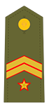 Divisa de suboficial mayor del Ejército de Tierra.