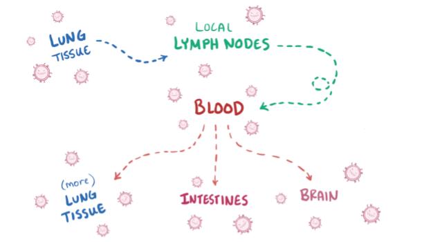 Image 7 of measles video