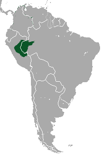 Distribuição geográfica do Bugio-ruivo.