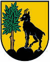 Wappen von Bod Ischl