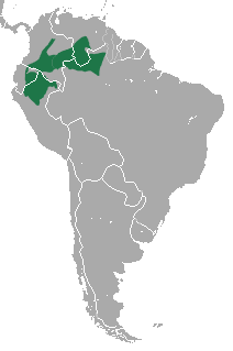 Distribuição geográfica de Ateles belzebuth.