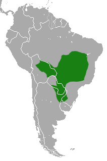 Distribuição geográfica do bugio-preto