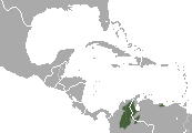 Distribuição geográfica do Macaco-aranha-marrom.