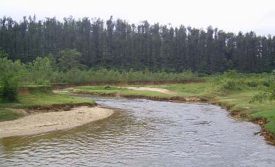 River Hemavati flowing at the southern side of Banakal