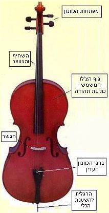 חלקי הצ'לו