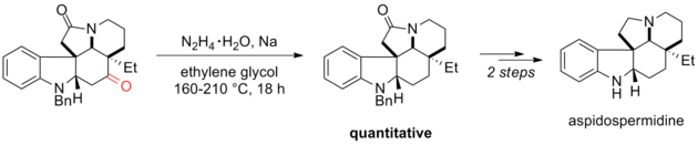 Scheme 18. Synthsesis of Aspidospermidine