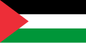 Flag of Palestine.