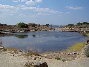 Vista del «coton» di Mozia, in Sicilia.