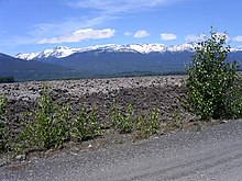 A field of moss-covered rocks with a couple trees in the foreground and snow-covered mountains in the background.