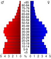 Bevolkingspiramide Kane County