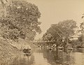 ആലപ്പുഴയിലെ ഒരു കനാൽ (1900).