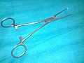 Allis tissue forceps