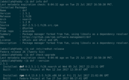 screenshot di DNF su Fedora