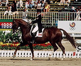 Pracht Soulin kesäolympialaisissa 1988.