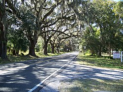 Picturesque East Orange Avenue in Floral City was once part of SR 48.