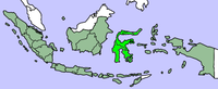蘇拉維西 Sulawesi的位置