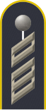 Dienstgradabzeichen auf der Schulterklappe der Jacke des Dienstanzuges für Luftwaffenuniformträger.