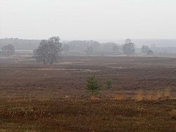 Lüneburger Heide