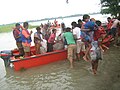 The Kosi river, shown here during a flood, rises in Nepal, rushes down with great force through its narrow Himalayan valley, and debouches in a flat plain in Bihar, India, where the river bed has risen so much from deposited silt that the river attempts to find a new course.[3]