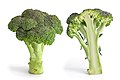Eine Broccoli von Benutzer:Fir0002