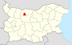 Dolni Dabnik Municipality within Bulgaria and Pleven Province.