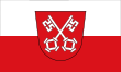 Vlag van Regensburg