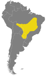 Distribución geográfica de Leopardus braccatus.