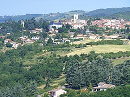 Saint-Martin-la-Plaine – Veduta