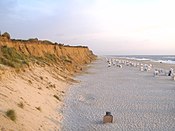 Coastal dunes