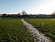 Une ligne de désir en hiver : son tracé est souligné par la neige qui, tassée par les pas, y tient plus longtemps que sur l’herbe.