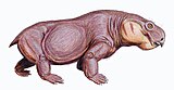 Australobarbarus