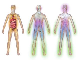 Diabetic neuropathy.