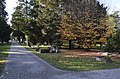 Central pathway, Plainpalais cemetery