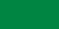 drapeau rectangulaire vert