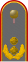 Generalmajor (German Army)[29]