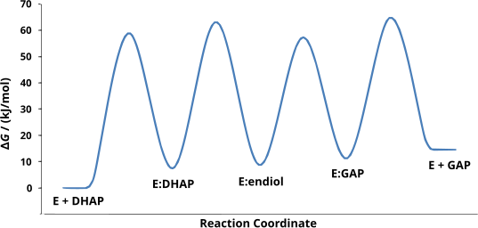 Canvis d'energia lliure de les etapes de la reacció catalitzada.