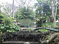 Jardín de la Marquesa de Arucas, the Botanical Garden features more than 500 plant species.