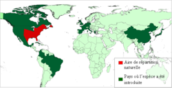 Área de distribución actual de la rana toro[4]​