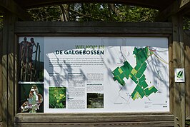 Galgebossen