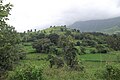 Gothmi hill in Dahyat in rainy season