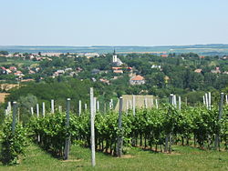 View of the village from the vineyard hill